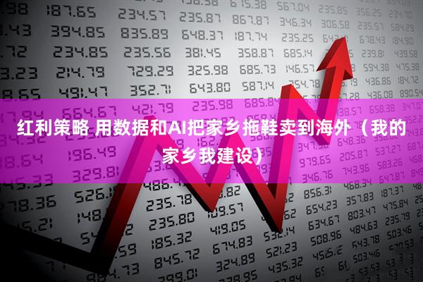 红利策略 用数据和AI把家乡拖鞋卖到海外（我的家乡我建设）